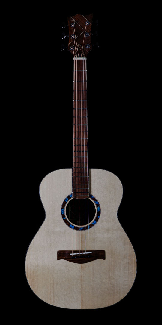 roberto-venn-50th-anniversary-_l4a0442 roberto venn 50th anniversary l4a0442 50th Anniversary Guitar Project