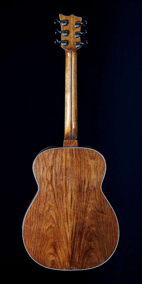 roberto-venn-50th-anniversary-_l4a0443 roberto venn 50th anniversary l4a0443 50th Anniversary Guitar Project