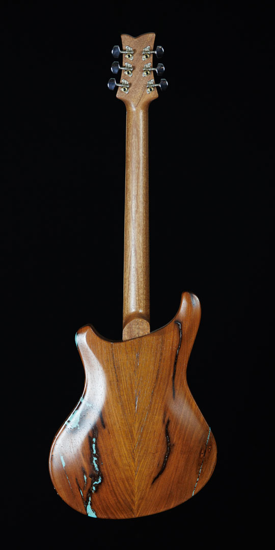 roberto-venn-50th-anniversary-baldacci-back roberto venn 50th anniversary baldacci back 50th Anniversary Guitar Project