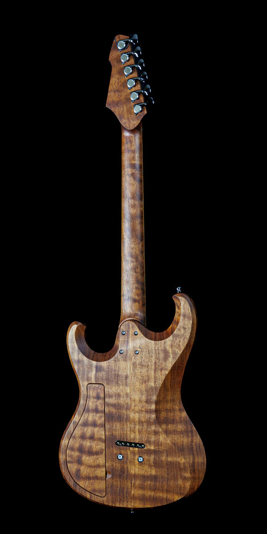 roberto-venn-50th-anniversary-barlow-back roberto venn 50th anniversary barlow back 50th Anniversary Guitar Project