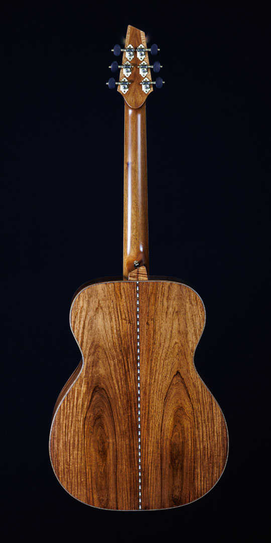 roberto-venn-50th-anniversary-brooks-st.-back roberto venn 50th anniversary brooks st. back 50th Anniversary Guitar Project