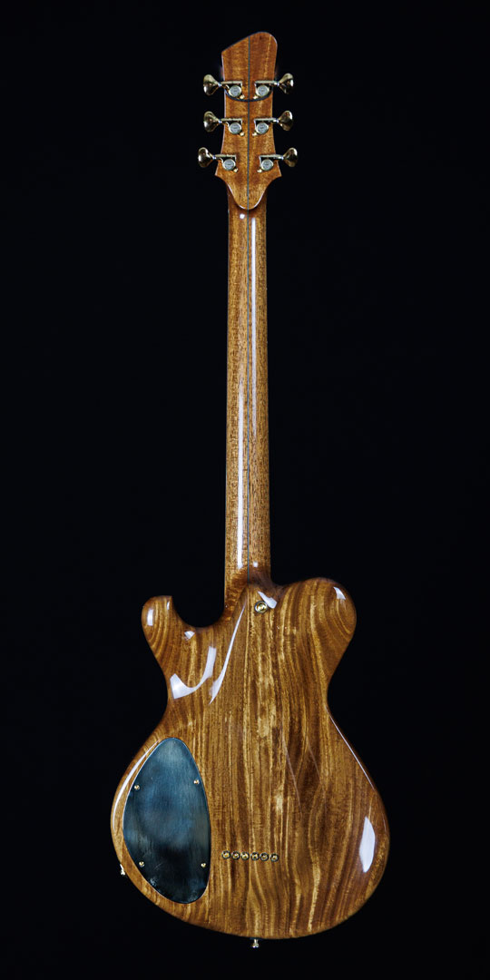 roberto-venn-50th-anniversary-brother-coyote-back roberto venn 50th anniversary brother coyote back 50th Anniversary Guitar Project