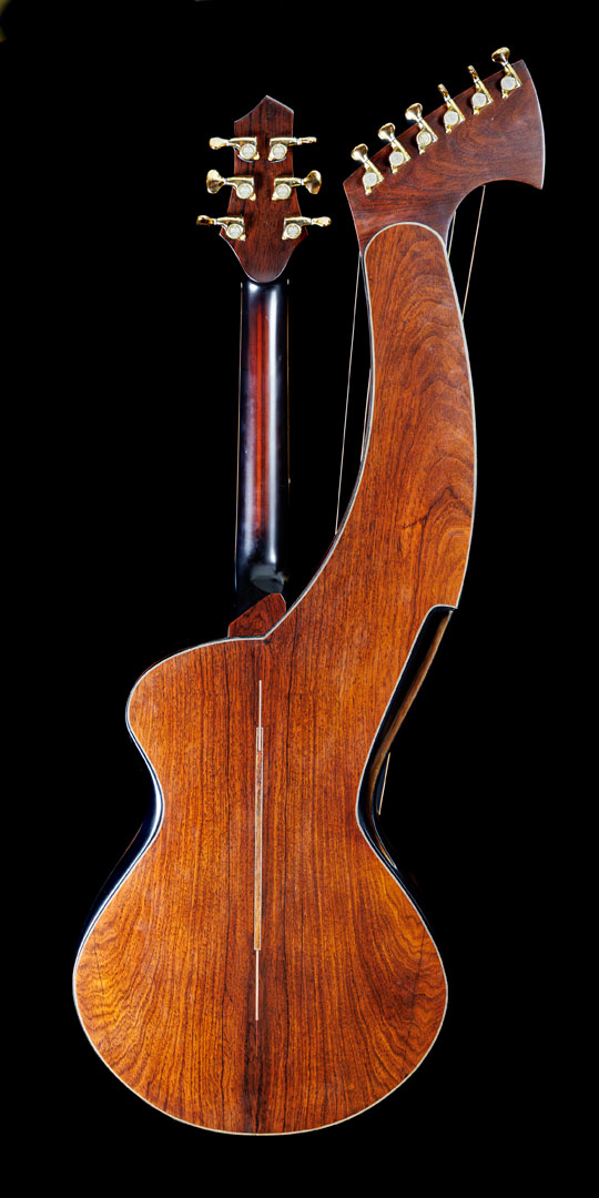 roberto-venn-50th-anniversary-caton-back roberto venn 50th anniversary caton back 50th Anniversary Guitar Project