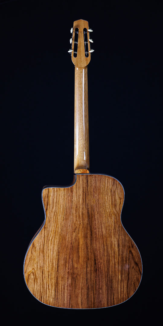 roberto-venn-50th-anniversary-collins-guitar-back roberto venn 50th anniversary collins guitar back 50th Anniversary Guitar Project