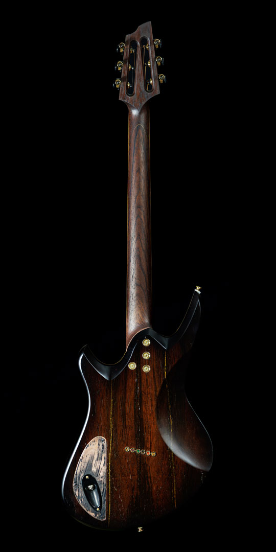 roberto-venn-50th-anniversary-eir-back roberto venn 50th anniversary eir back 50th Anniversary Guitar Project