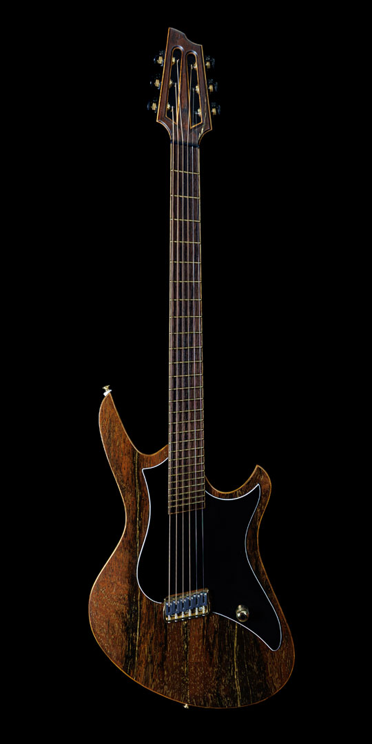 roberto-venn-50th-anniversary-eir-guitars roberto venn 50th anniversary eir guitars 50th Anniversary Guitar Project