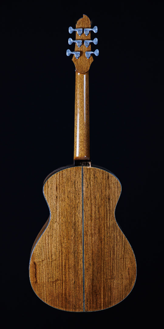 roberto-venn-50th-anniversary-feng-back roberto venn 50th anniversary feng back 50th Anniversary Guitar Project