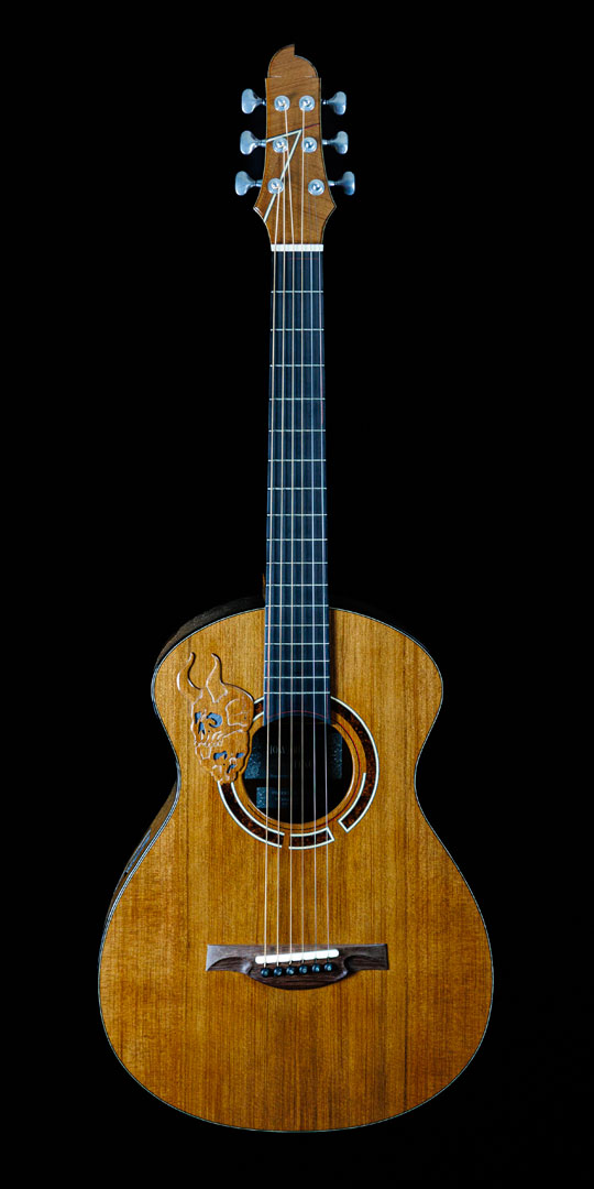 roberto-venn-50th-anniversary-feng-guitars roberto venn 50th anniversary feng guitars 50th Anniversary Guitar Project