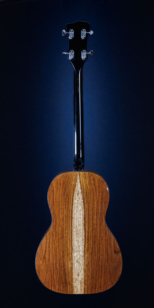 roberto-venn-50th-anniversary-haymaker-back roberto venn 50th anniversary haymaker back 50th Anniversary Guitar Project