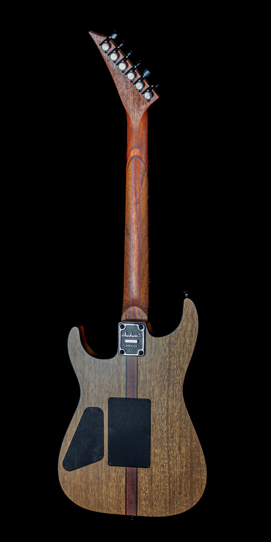 roberto-venn-50th-anniversary-jackson-back roberto venn 50th anniversary jackson back 50th Anniversary Guitar Project