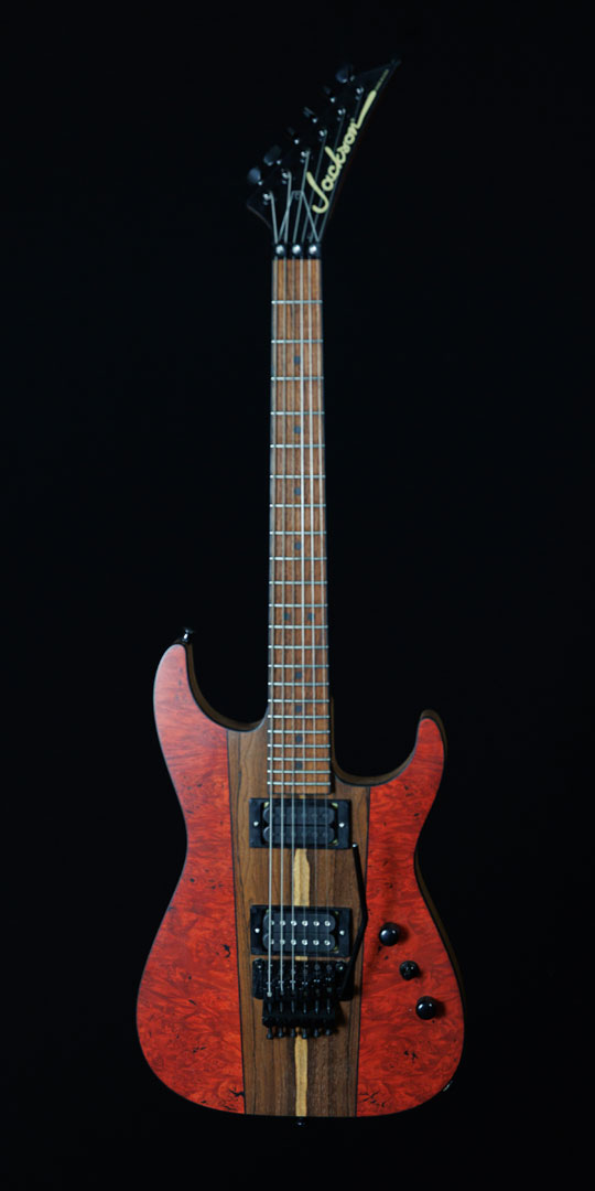 roberto-venn-50th-anniversary-jackson roberto venn 50th anniversary jackson 50th Anniversary Guitar Project