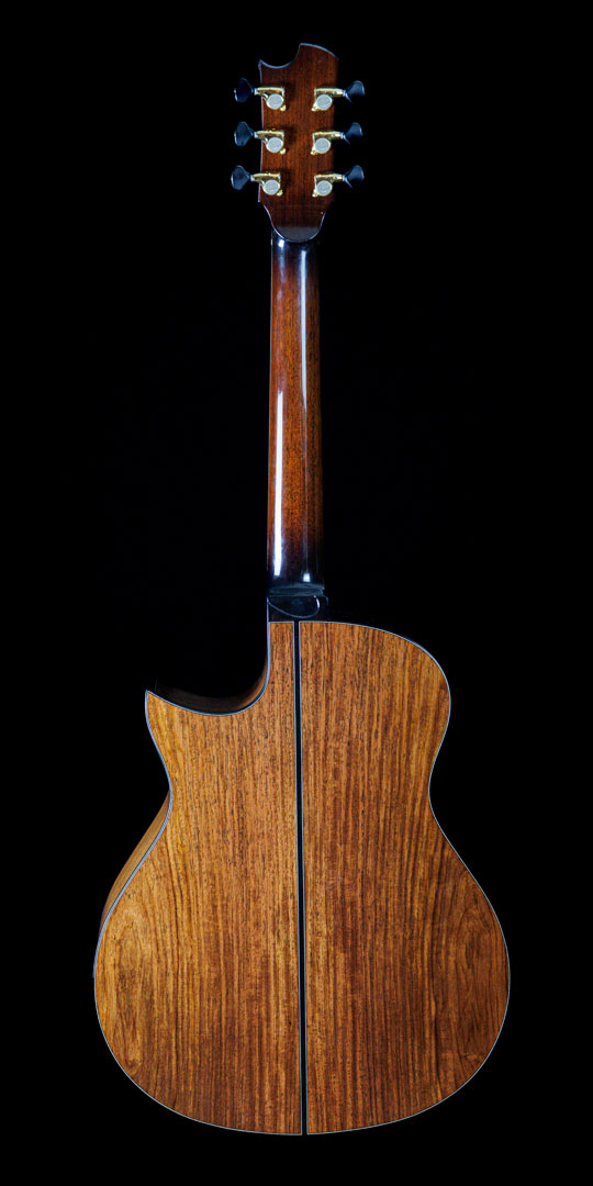 roberto-venn-50th-anniversary-kostal-back roberto venn 50th anniversary kostal back 50th Anniversary Guitar Project