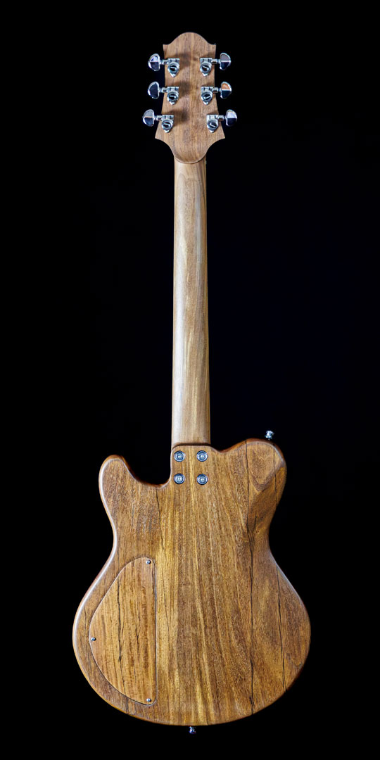 roberto-venn-50th-anniversary-manker-back roberto venn 50th anniversary manker back 50th Anniversary Guitar Project
