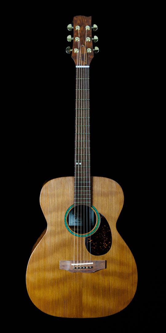 roberto-venn-50th-anniversary-mudd-2- roberto venn 50th anniversary mudd 2 50th Anniversary Guitar Project