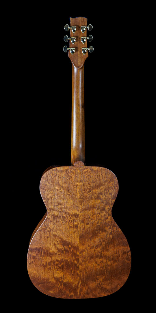 roberto-venn-50th-anniversary-mudd-2-back roberto venn 50th anniversary mudd 2 back 50th Anniversary Guitar Project