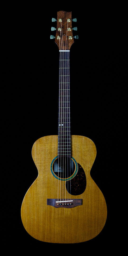 roberto-venn-50th-anniversary-mudd-3 roberto venn 50th anniversary mudd 3 50th Anniversary Guitar Project