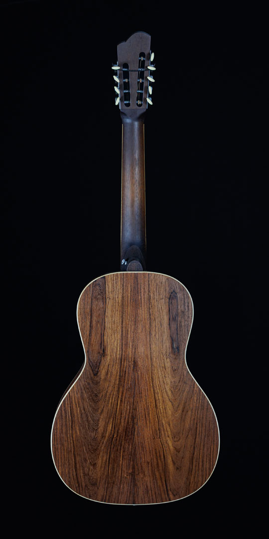 roberto-venn-50th-anniversary-mule-back roberto venn 50th anniversary mule back 50th Anniversary Guitar Project