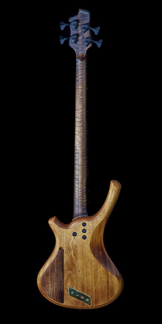 roberto-venn-50th-anniversary-nichols-back roberto venn 50th anniversary nichols back 50th Anniversary Guitar Project