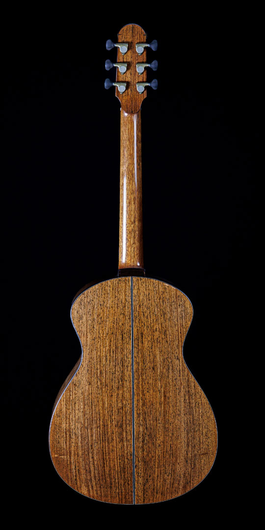 roberto-venn-50th-anniversary-raymond-kraut-back roberto venn 50th anniversary raymond kraut back 50th Anniversary Guitar Project