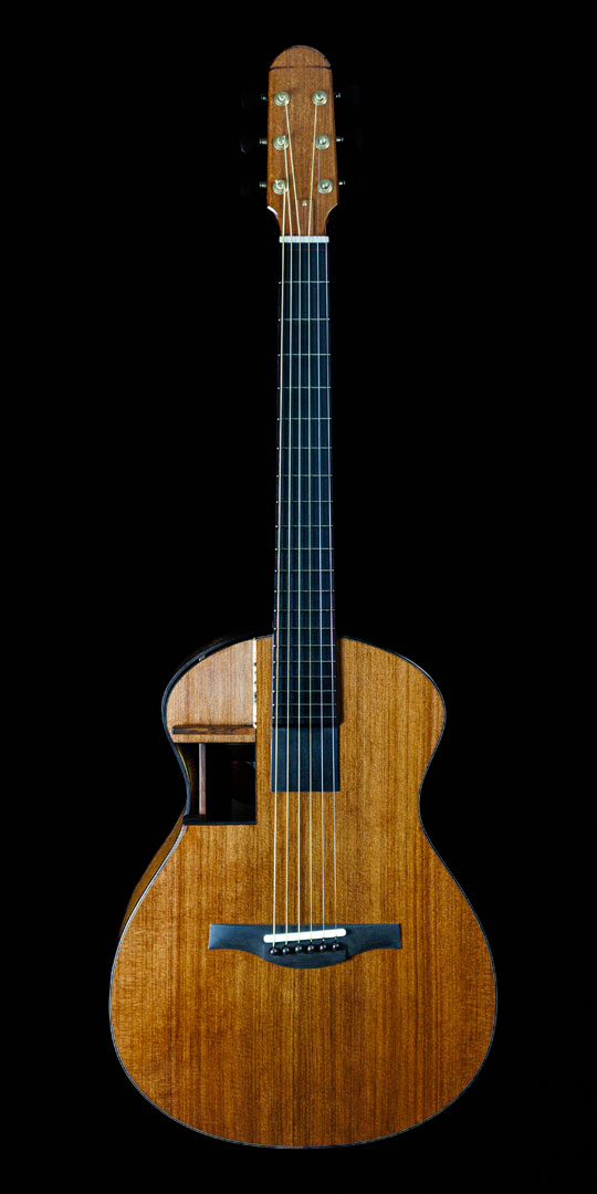 roberto-venn-50th-anniversary-raymond-kraut-guitars roberto venn 50th anniversary raymond kraut guitars 50th Anniversary Guitar Project