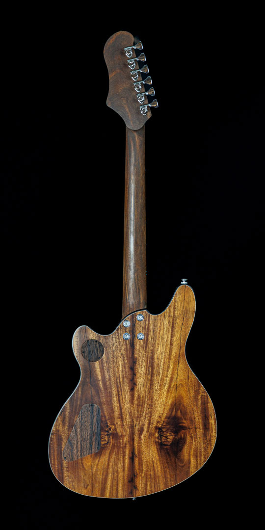 roberto-venn-50th-anniversary-remnant-back roberto venn 50th anniversary remnant back 50th Anniversary Guitar Project