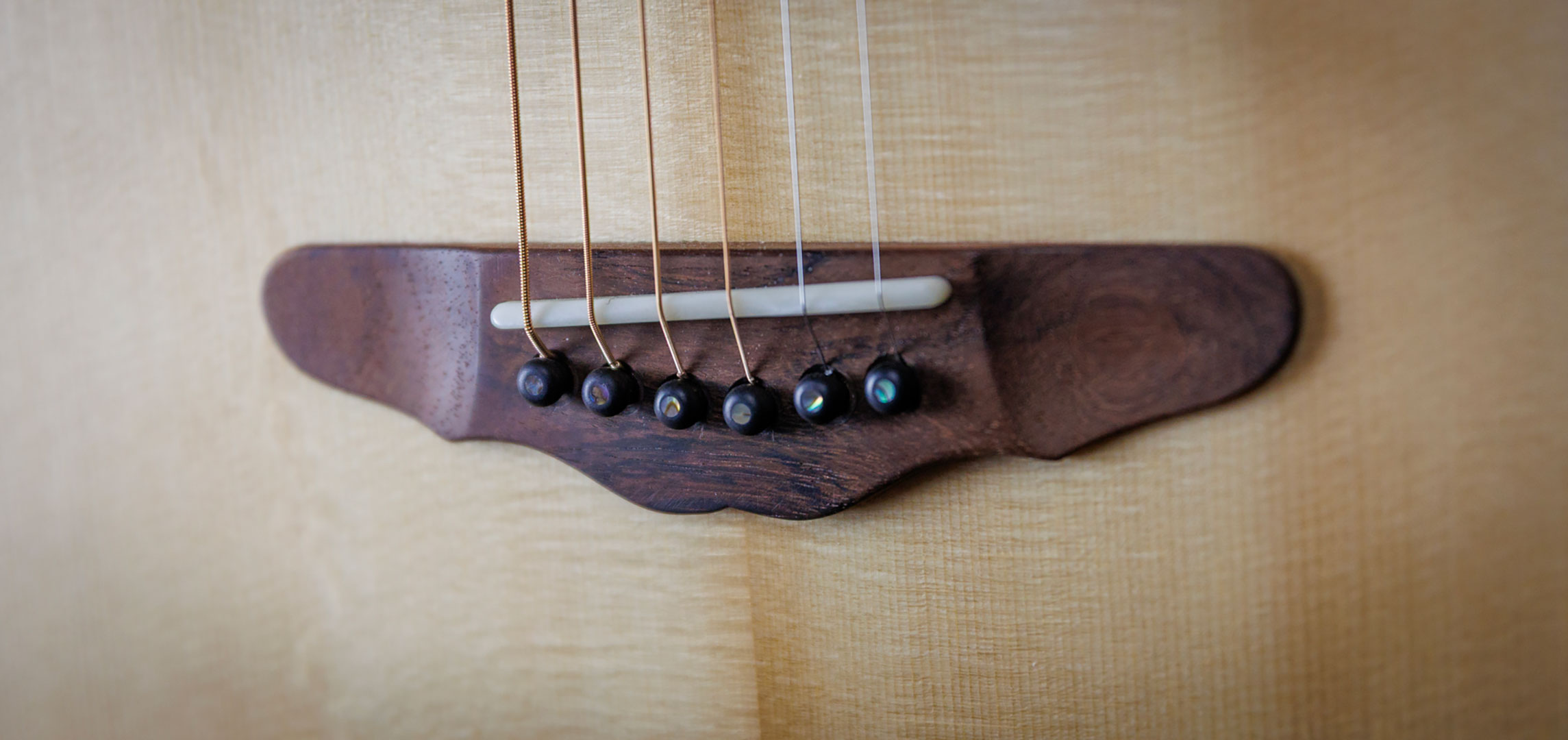 roberto-venn-50th-anniversary-reuters-_l4a0790 roberto venn 50th anniversary reuters l4a0790 50th Anniversary Guitar Project