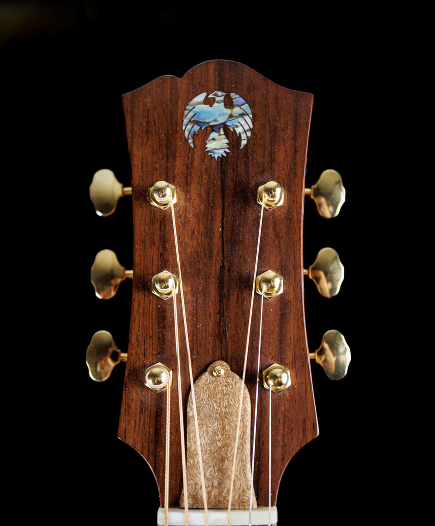 roberto-venn-50th-anniversary-reuters-_l4a0793 roberto venn 50th anniversary reuters l4a0793 50th Anniversary Guitar Project