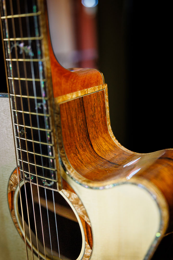 roberto-venn-50th-anniversary-reuters-_l4a0795 roberto venn 50th anniversary reuters l4a0795 50th Anniversary Guitar Project