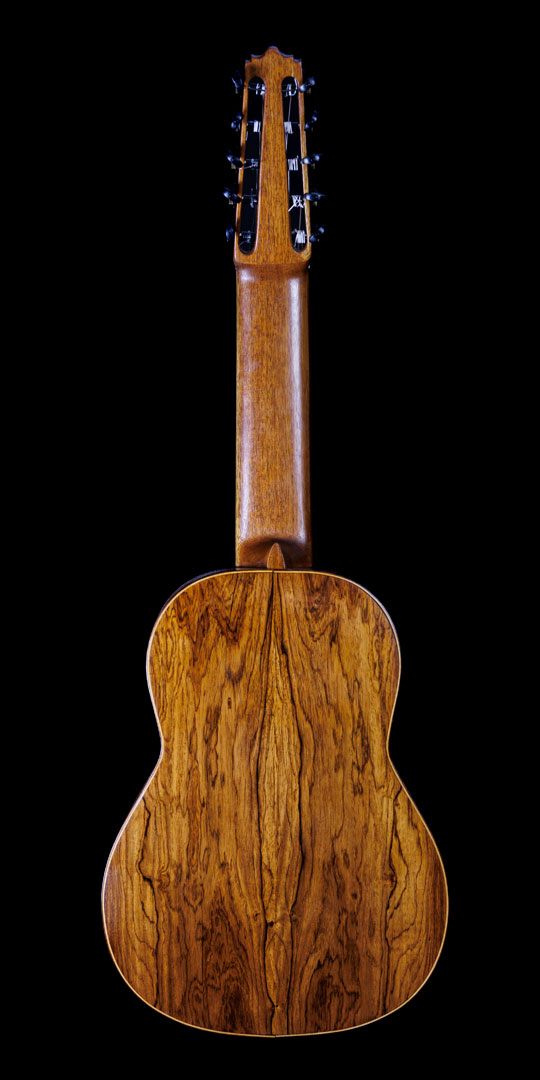 roberto-venn-50th-anniversary-rv-kramer-back roberto venn 50th anniversary rv kramer back 50th Anniversary Guitar Project