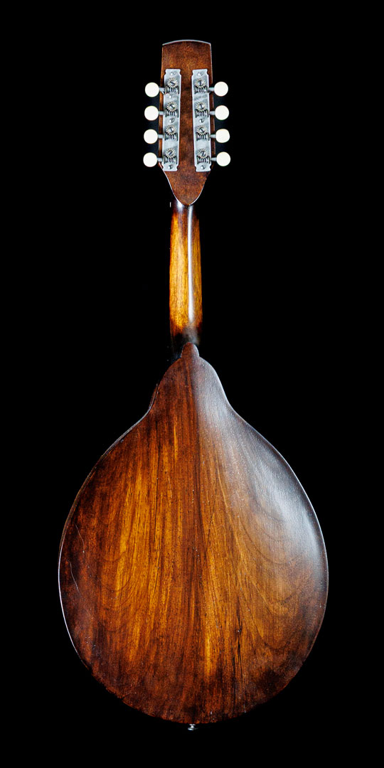 roberto-venn-50th-anniversary-stratton-back roberto venn 50th anniversary stratton back 50th Anniversary Guitar Project