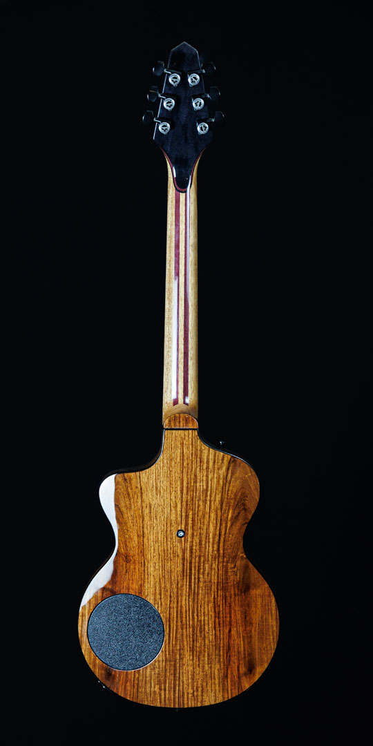 roberto-venn-50th-anniversary-turner-guitars roberto venn 50th anniversary turner guitars 50th Anniversary Guitar Project