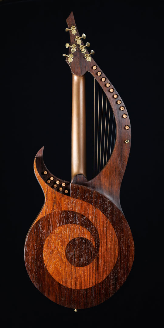 roberto-venn-50th-anniversary-william-eaton-back roberto venn 50th anniversary william eaton back 50th Anniversary Guitar Project